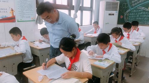 督導清風入校來，指導發展潤無聲——東臺創新小學迎雛陽投資與創新教育集團綜合督導記